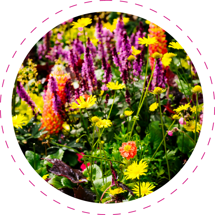 GSI-Website Imgs_Show Garden